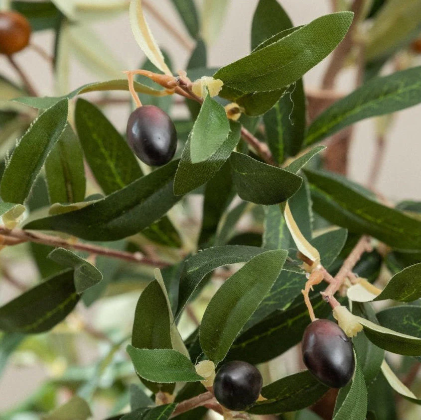Artificial Olive Tree UV/IFV in Antique White Planter - Image 3